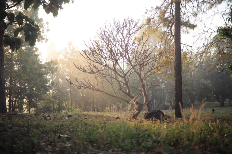 Others 5, สวนสน โฮมสเตย์, Muang Mae Hong Son