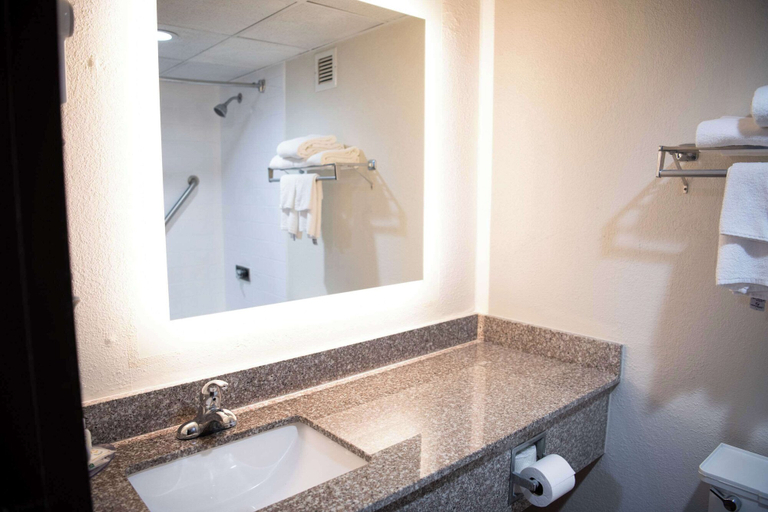 Bathroom 4, Quality Inn & Conference Center Somerset, Somerset