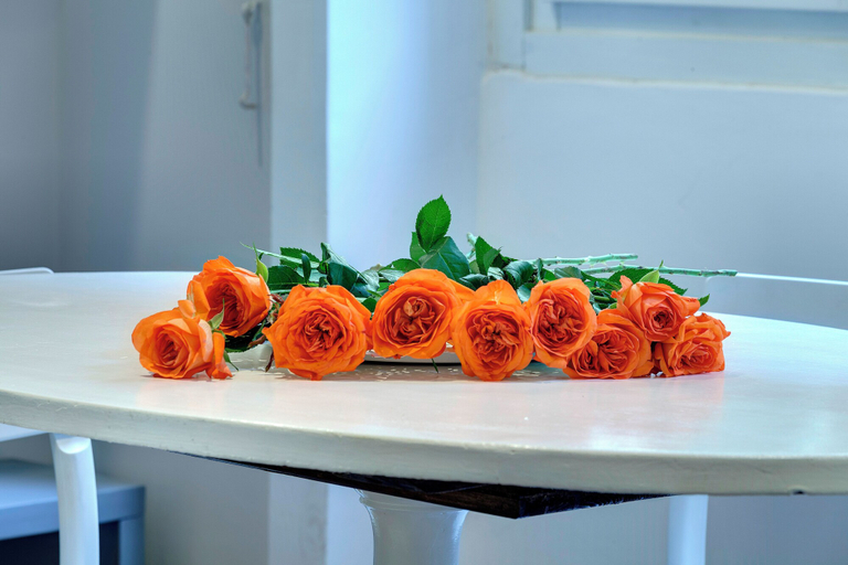 Food & Drinks, Mamo Florence - Cloe Apartment, Florence