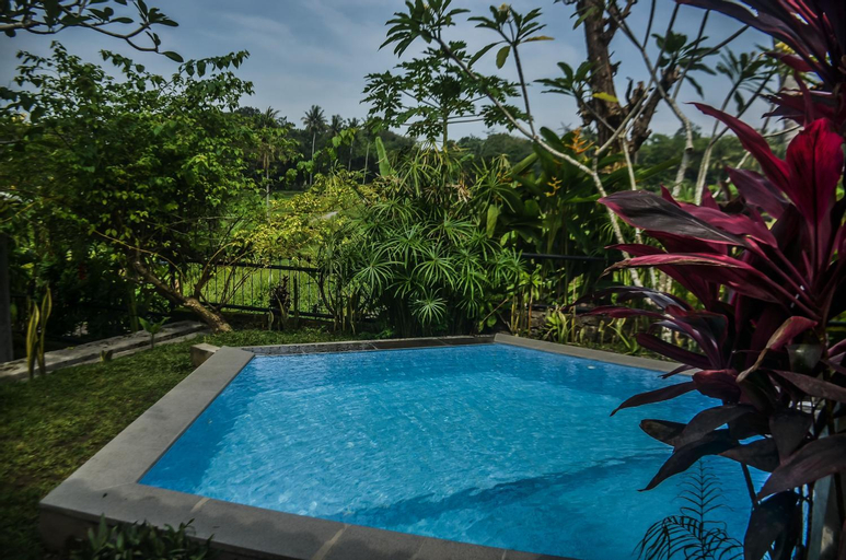 Swimming Pool 9