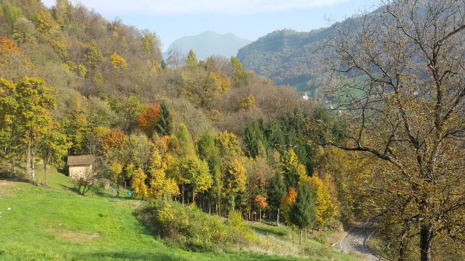 Scenery