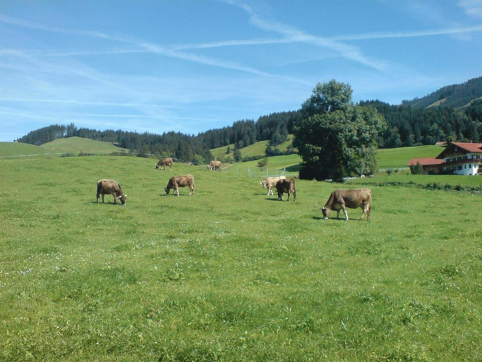 Others 5, Ferienhof Alfred Albrecht, Oberallgäu