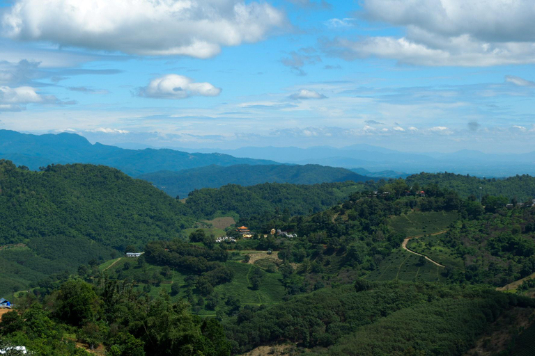 Others 3, AMA MAESALONG, Mae Fa Luang