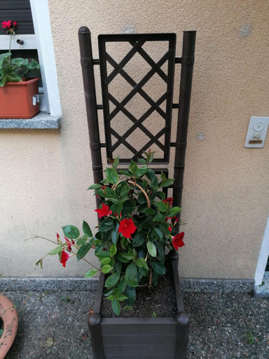 Others 2, Le palme, Lugano