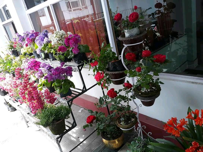 Others 5, Yuma D Homestay, Darjiling