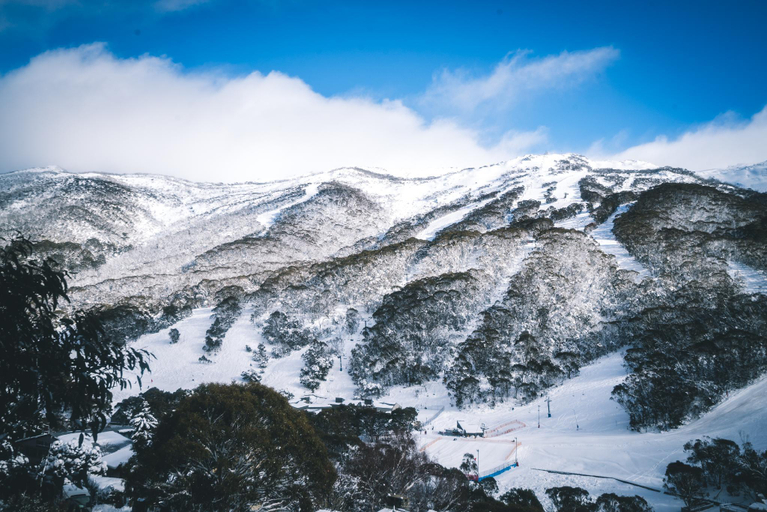 Scenery 4