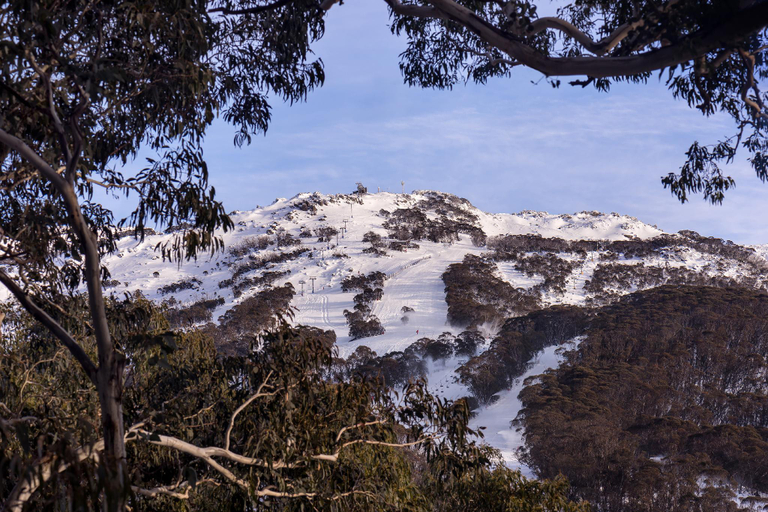 Scenery 3