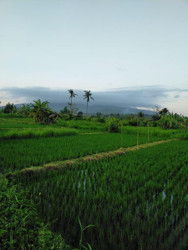 Others 5, Limun guesthouse, Karangasem