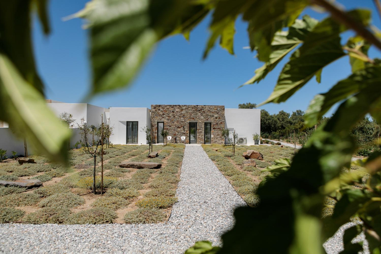 Others 4, STONE VILLA NAXOS, South Aegean