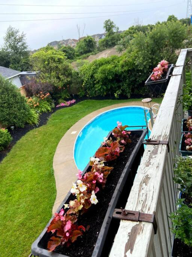Sport & Beauty, Poolside entire lower level apt, Durham