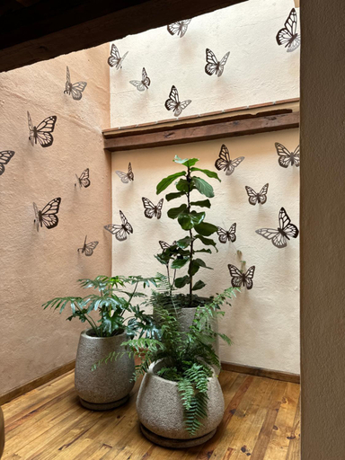 Public Area 3, Hotel Ibarra 14, Pátzcuaro