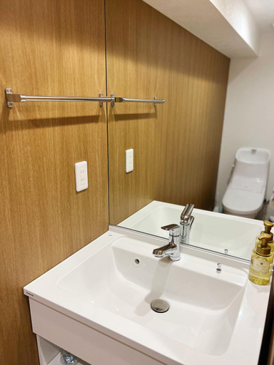 Bathroom 3, Akihabara K, Taitō