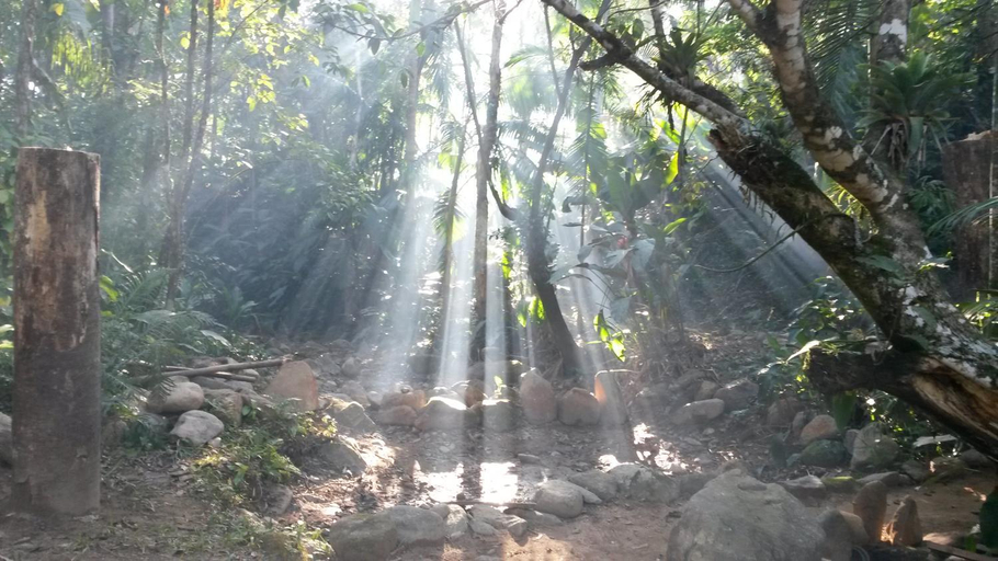 Others 5, Ada Verde, Rio dos Cedros