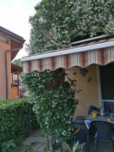 Le Palme, Lugano