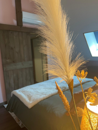Others 5, Grande chambre confortable, Nord