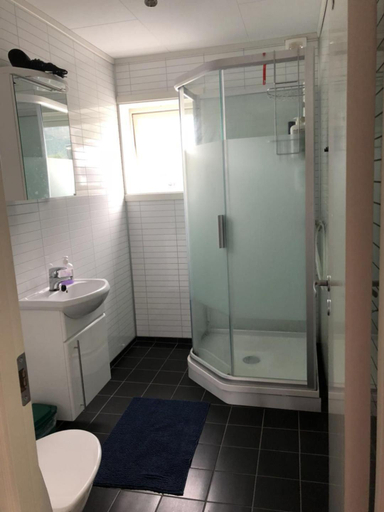 Bathroom, guesthouse -Andalsnes, Rauma