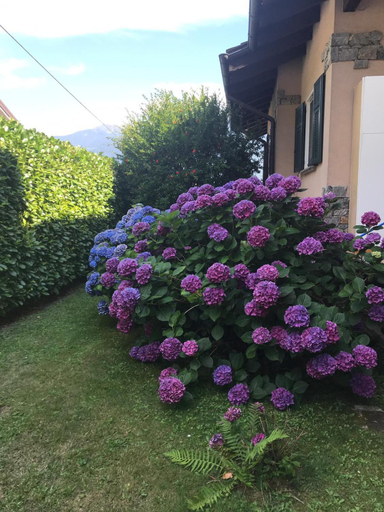 Others 2, Al Chiar di Luna B&B Valtellina, Sondrio
