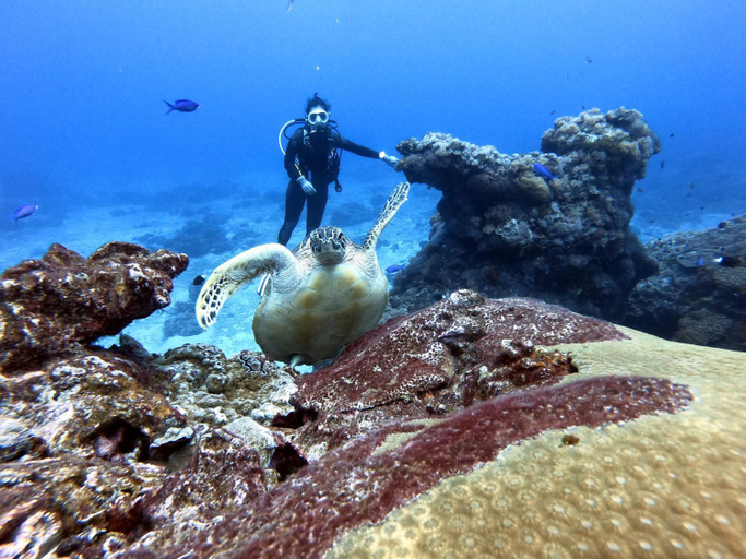 Others 3, Oceans Explore Hostel, Taitung