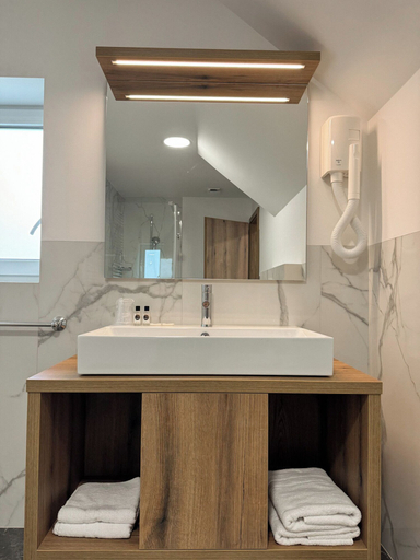 Bathroom 4, Hiša Aleš, Kranj