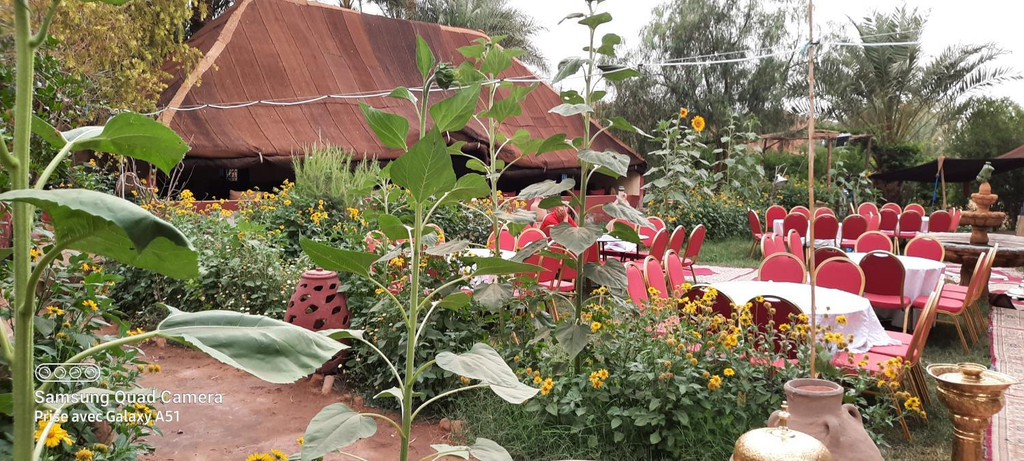 Garden 2, Paradise in the southern desert Morocco, Ouarzazate