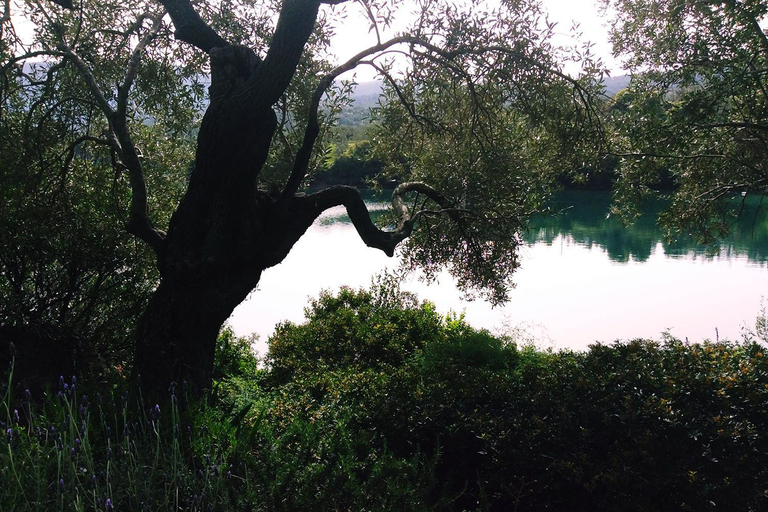 Surrounding environment
