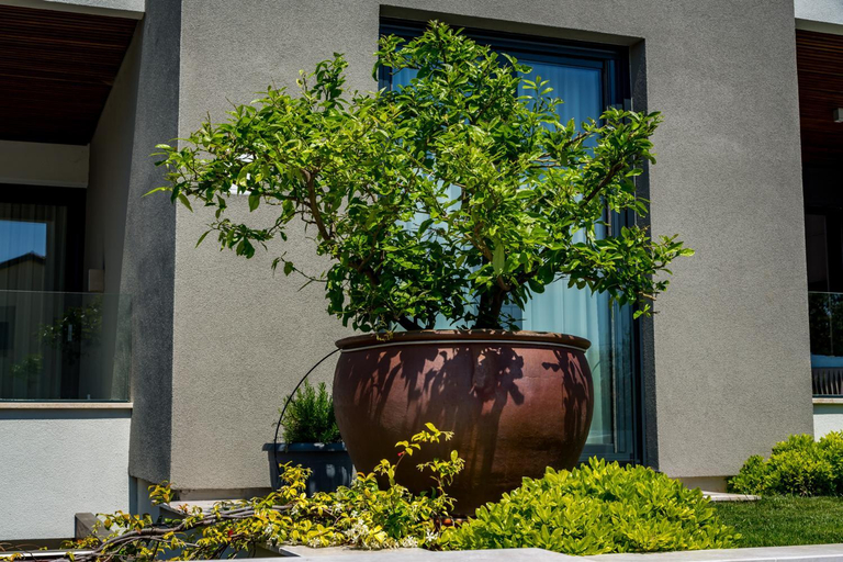 Exterior & Views