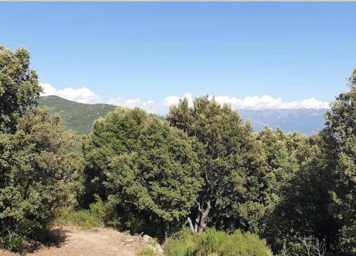 Others 5, Sottu E Stelle, Corse-du-Sud
