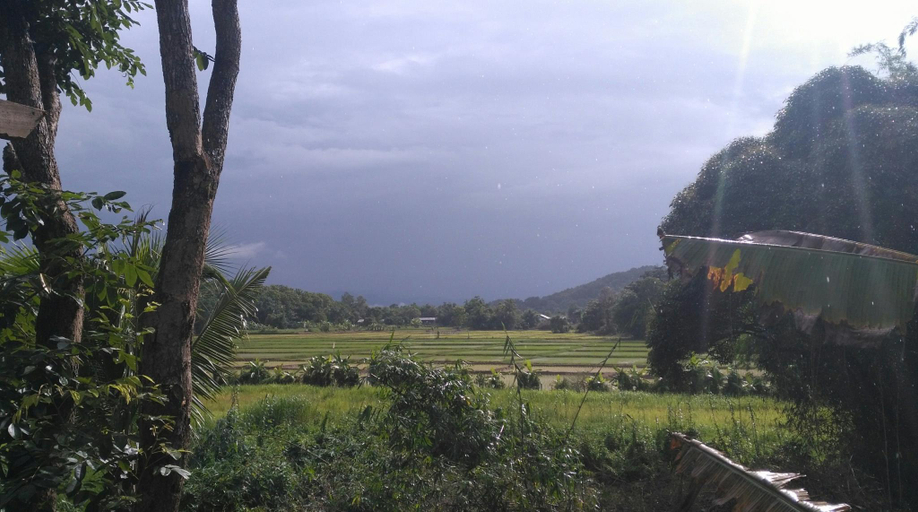 Scenery 17