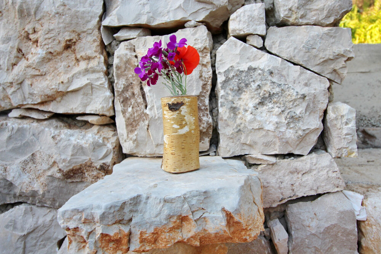 Food & Drinks 4, Apartments Felix Mljet, Mljet