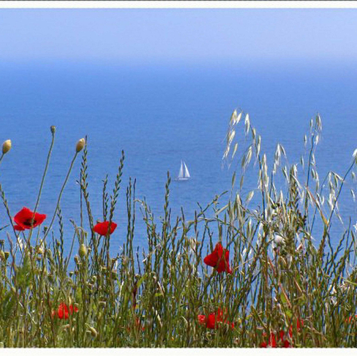 Others 5, Apartment Danijela Mljet, Mljet