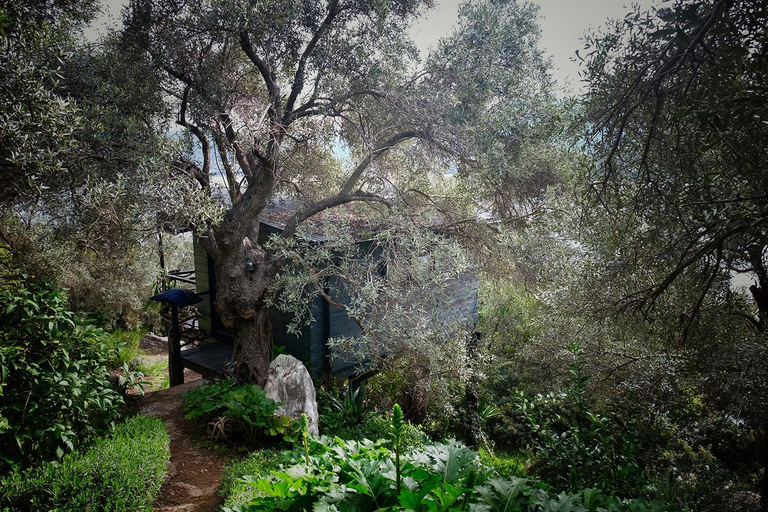 Exterior view 2, Magical Treehouse Cabin by the sea with amazing views, Thessaly