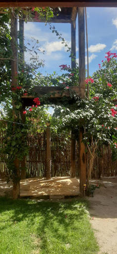 Others 5, Casa Cariri- Prea, Cruz