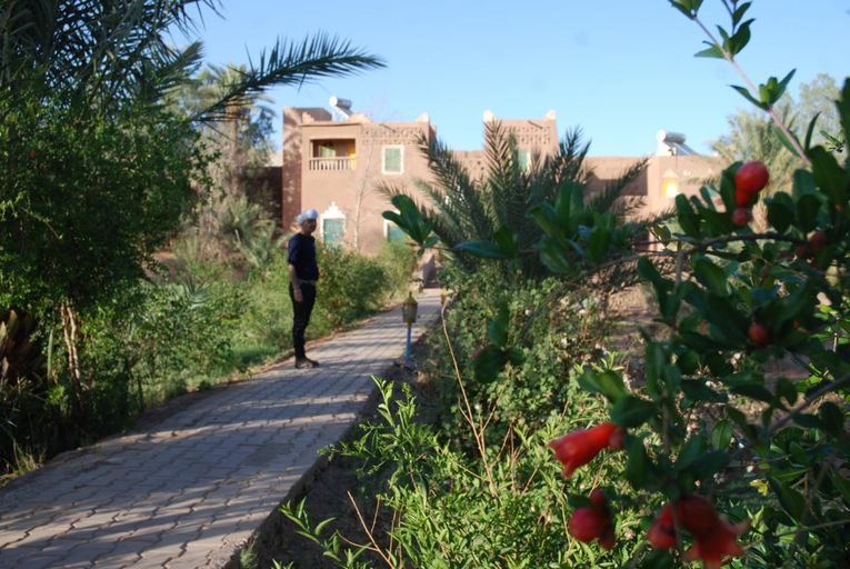 Exterior view 4, Paradise in the southern desert Morocco, Ouarzazate