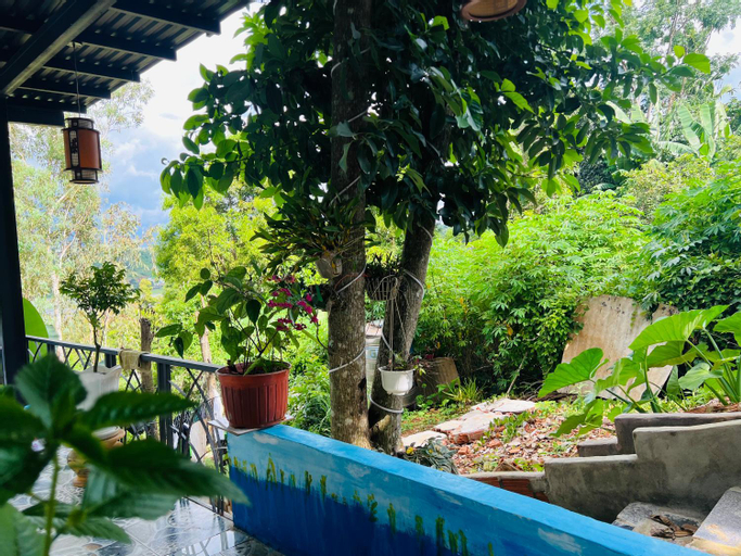 Swimming Pool 15