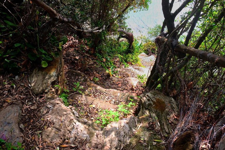 Surrounding environment 5, Magical Treehouse Cabin by the sea with amazing views, Thessaly