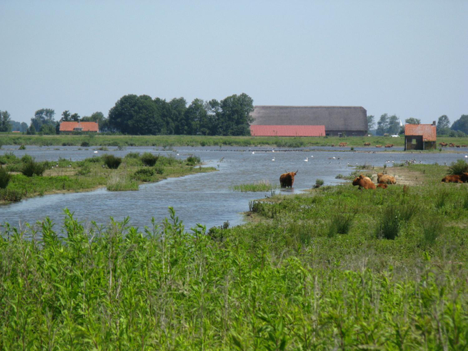 Others 5, Pure Passie Bed and Breakfast, Moerdijk