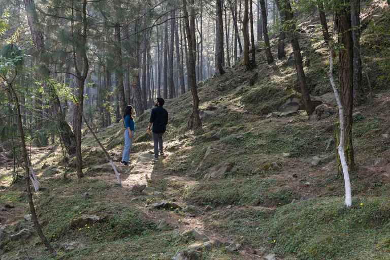 Others 5, The Mansion - A Magnificent Villa, Solan