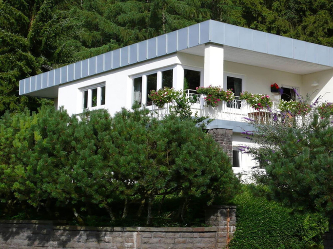 Primary image