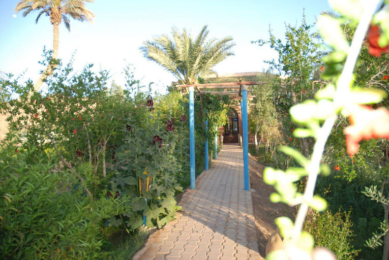 Garden 5, Paradise in the southern desert Morocco, Ouarzazate