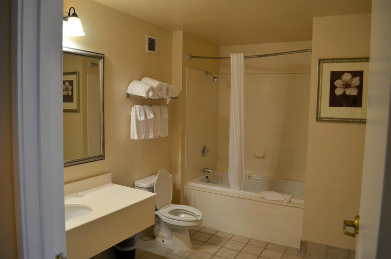 Bathroom 1