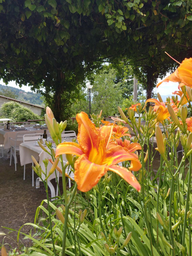 Food & Drinks 2, Agriturismo Botro, Arezzo