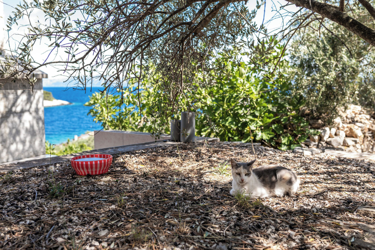 Others 4, Olive's Garden House, Vela Luka