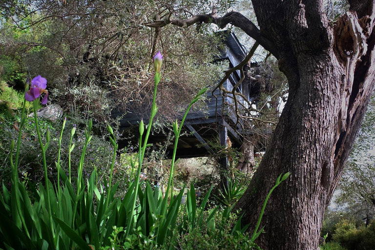 Surrounding environment 3, Magical Treehouse Cabin by the sea with amazing views, Thessaly