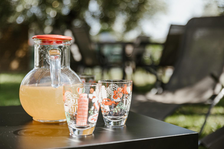Food & Drinks, Minerva Holiday Home, Brescia