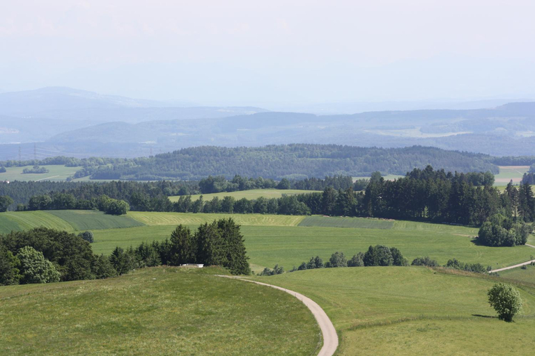 Others 3, Vogelbacher Hof - Dachsberg im Sudschwarzwald, Waldshut