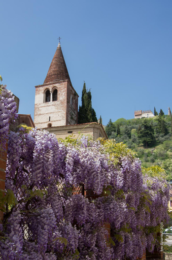 Others 4, B&B Borgo Castello, Vicenza