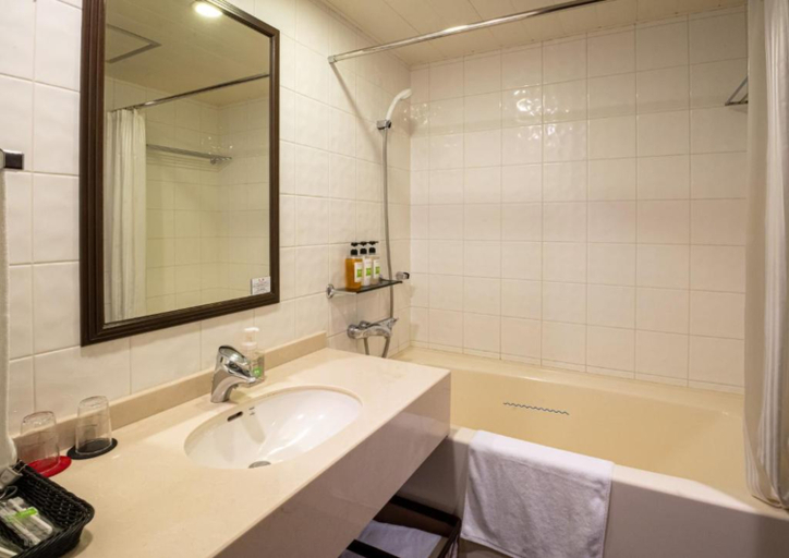 Bathroom 5, ibis Styles Sapporo, Sapporo