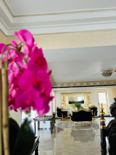 Food & Drinks 5, Alessio Hotel Residence, Costinesti