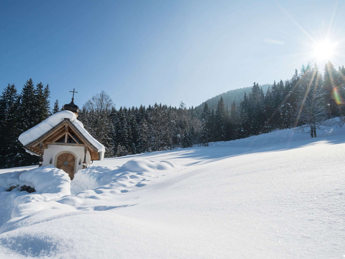 Others 4, Sprawling Mansion near Ski Area in Salzburg, Sankt Johann im Pongau