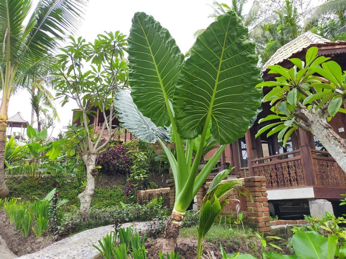 Scenery 1
